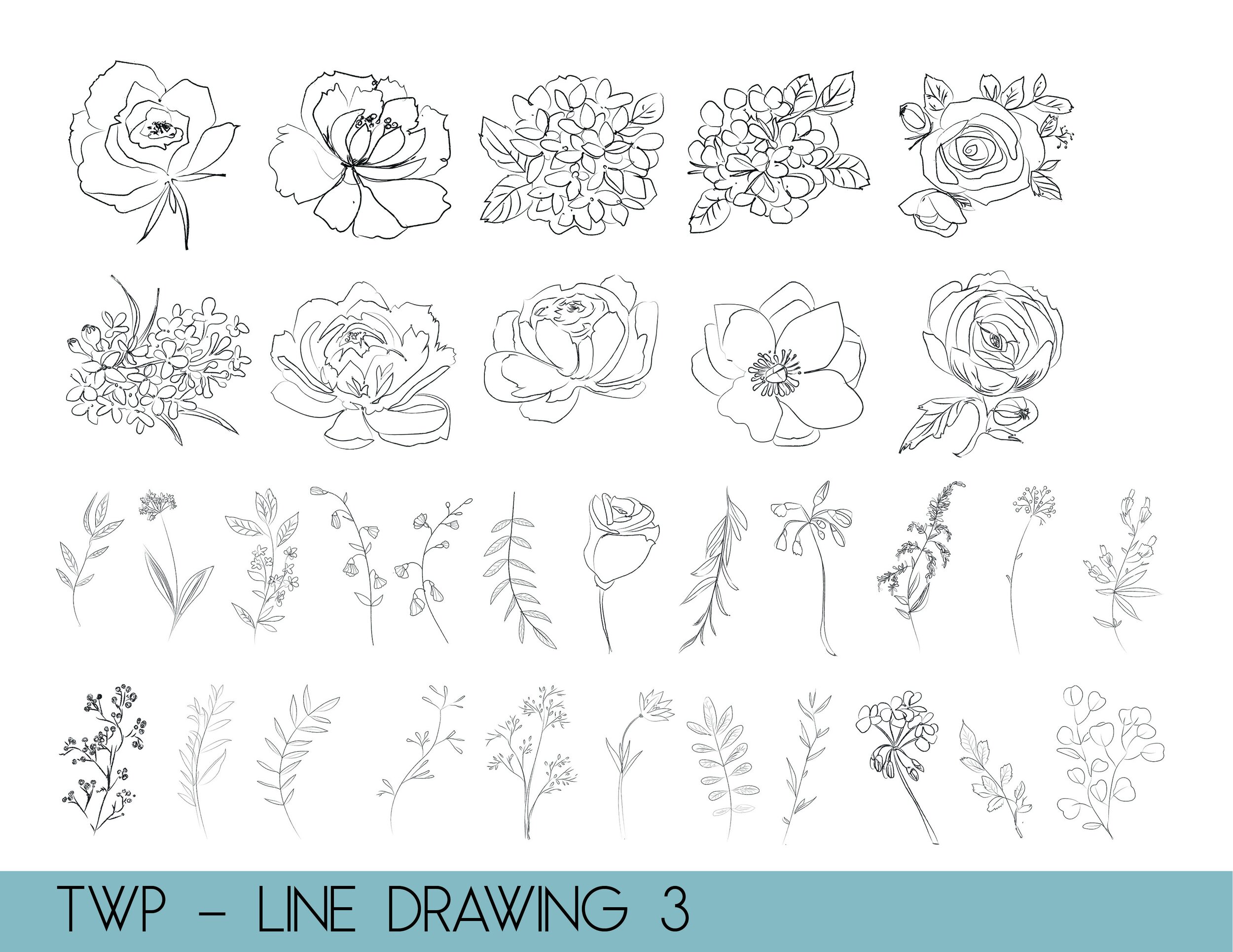line drawings - website3.jpg