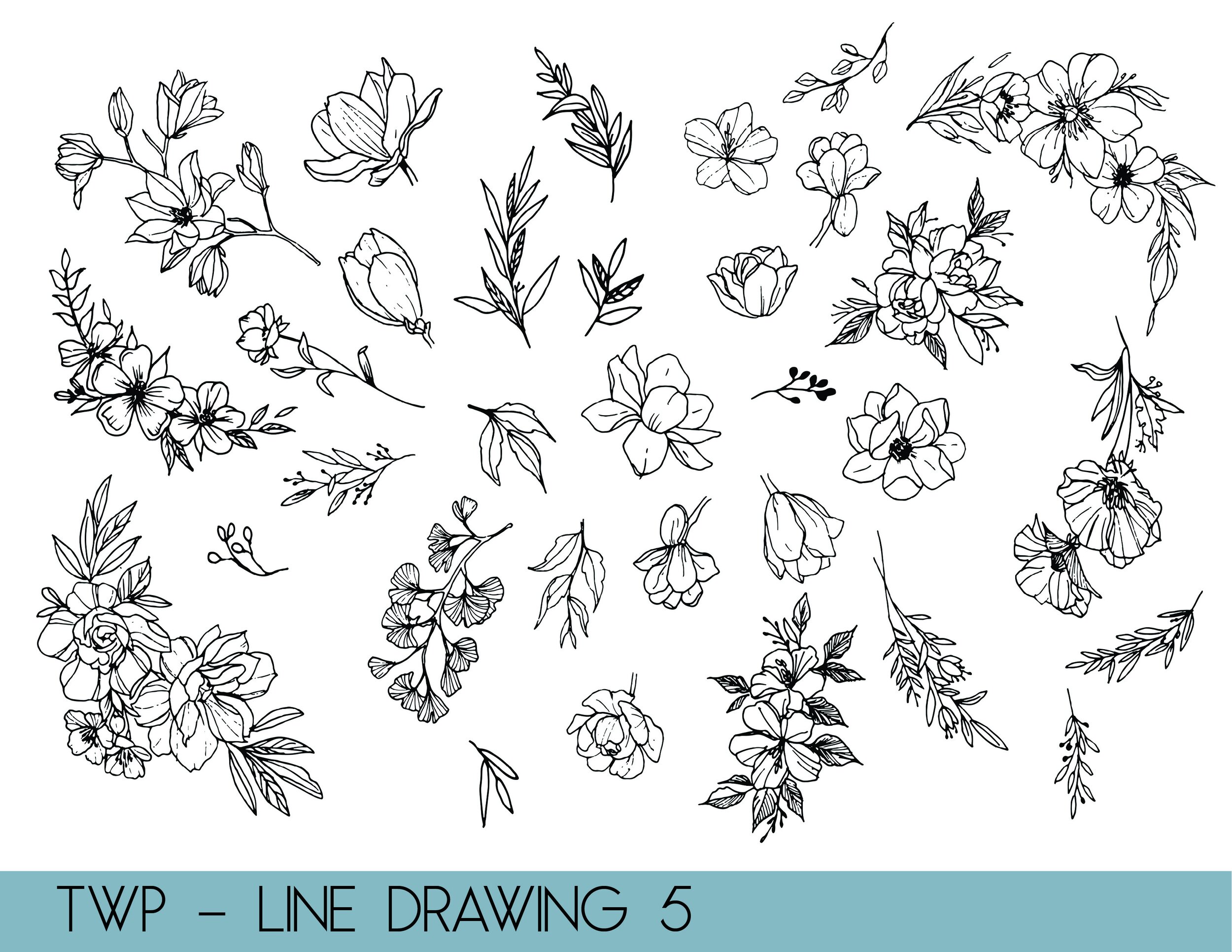 line drawings - website5.jpg