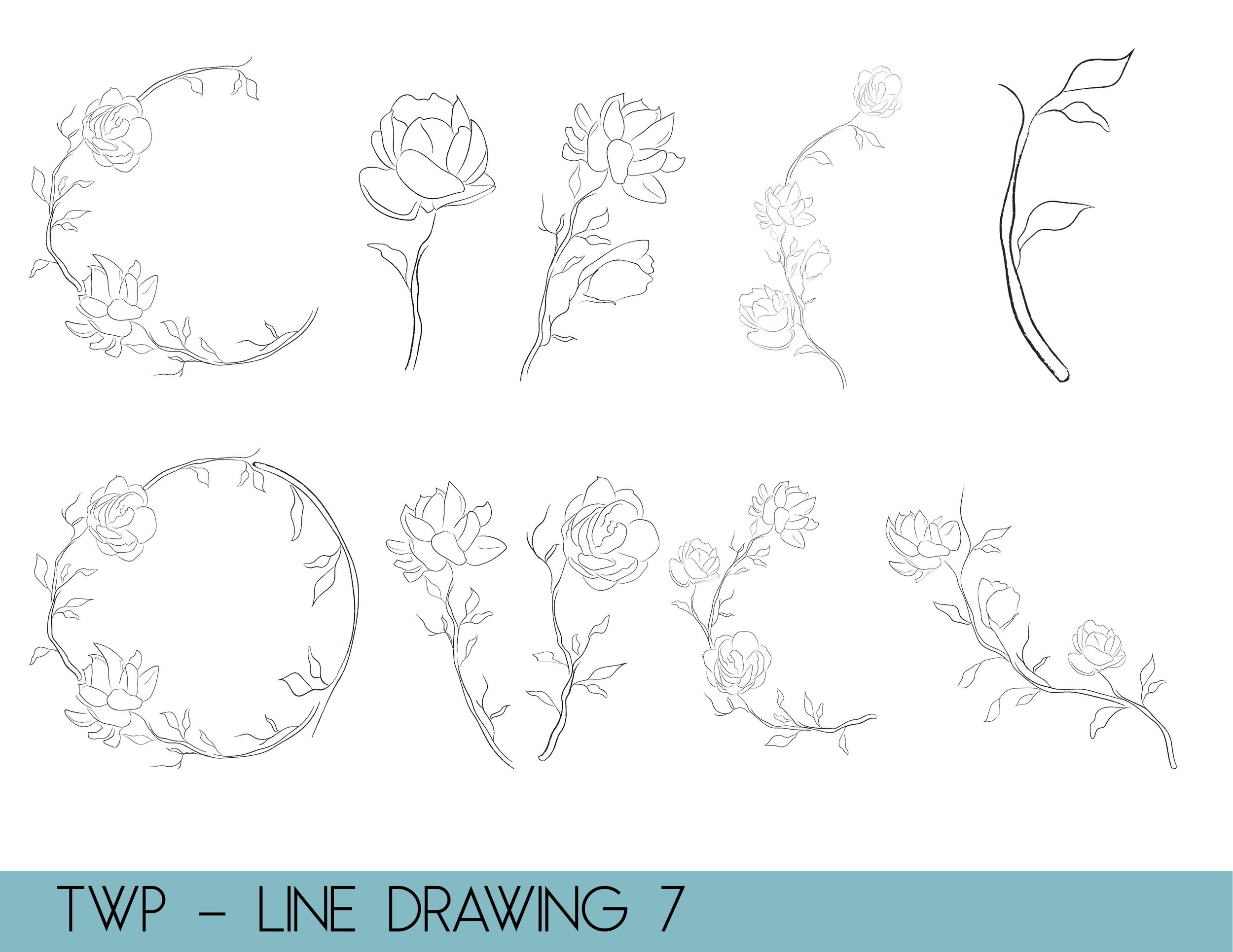 line drawings - website7.jpg