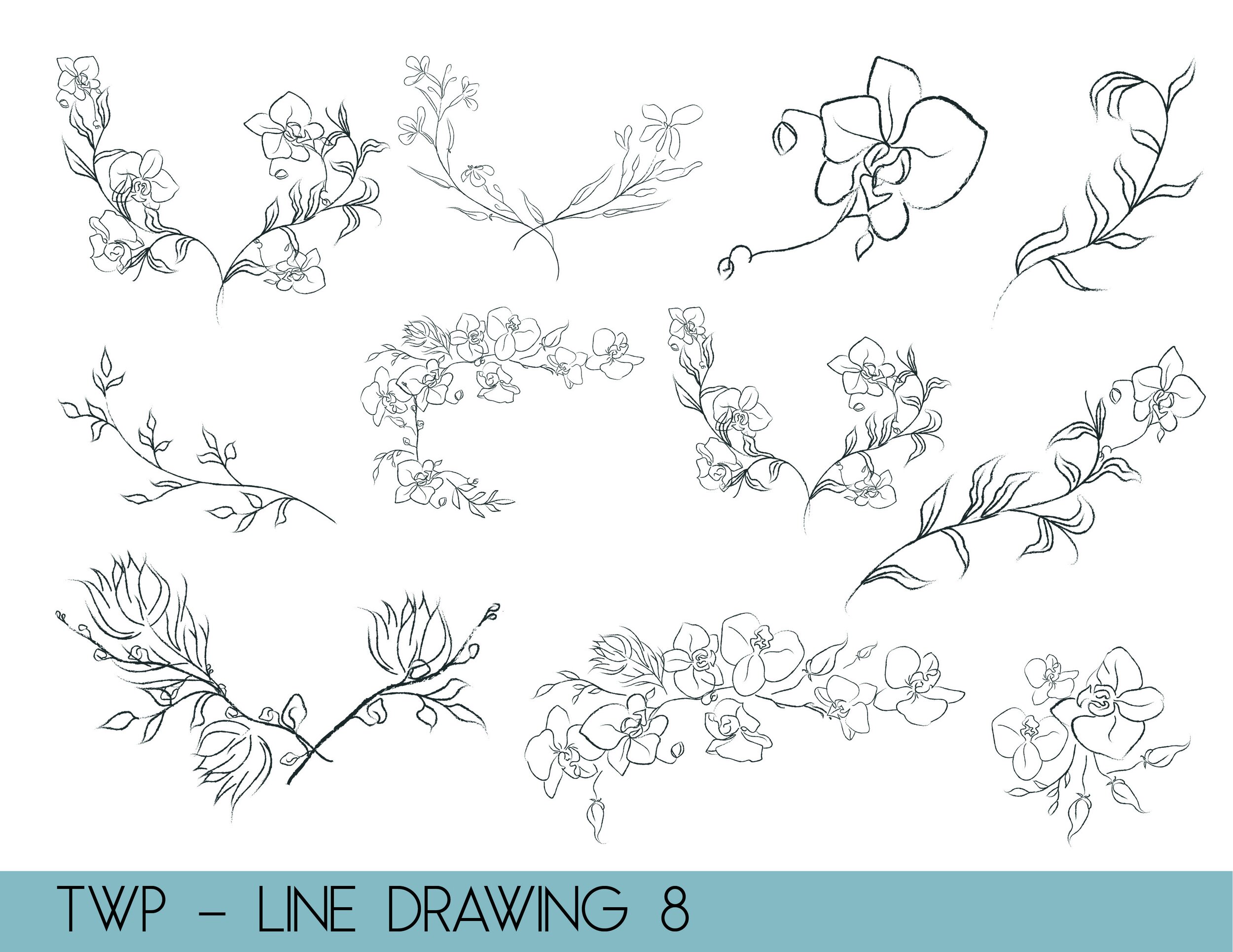 line drawings - website8.jpg