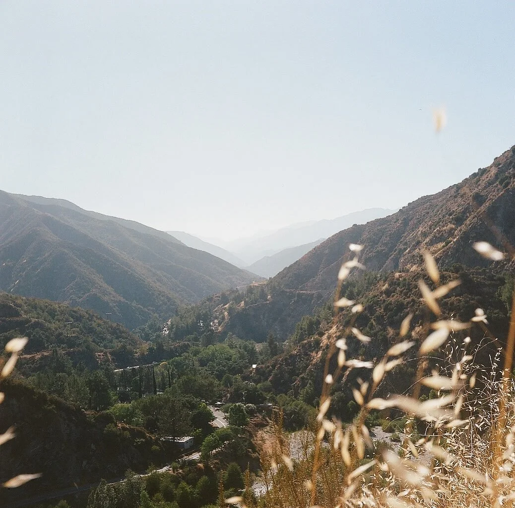 Here's a photo I took on film the other day.