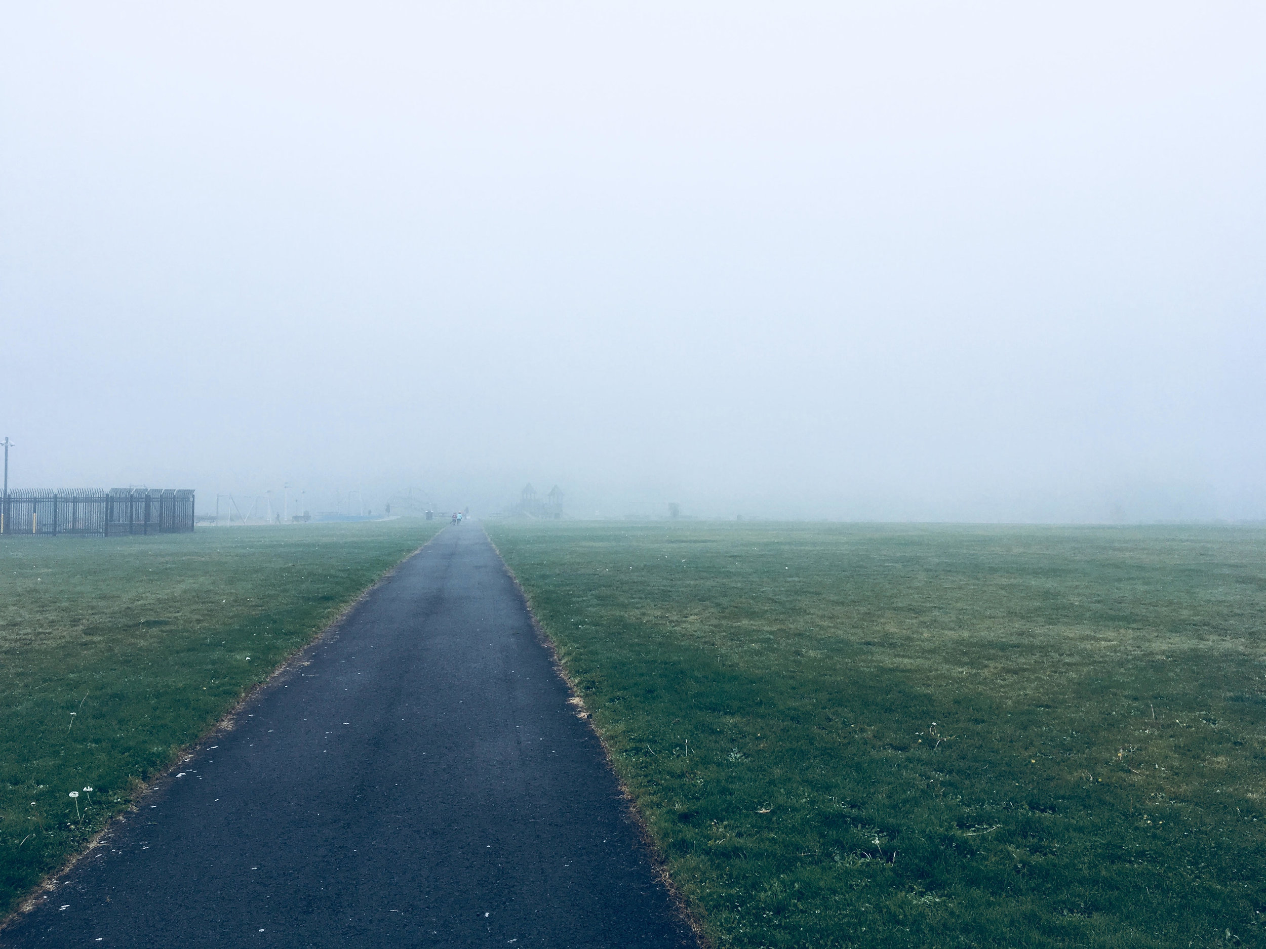 path into mist.jpg