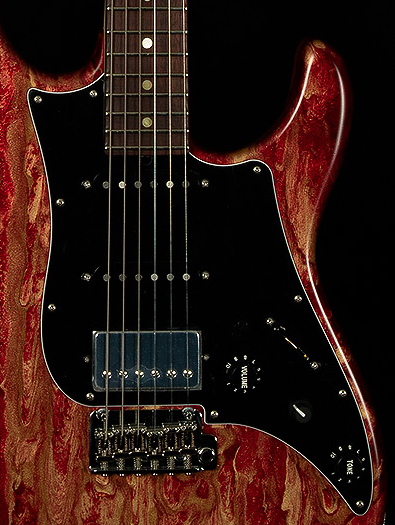 James Tyler Guitars - Studio Elite HD — James Tyler Guitars
