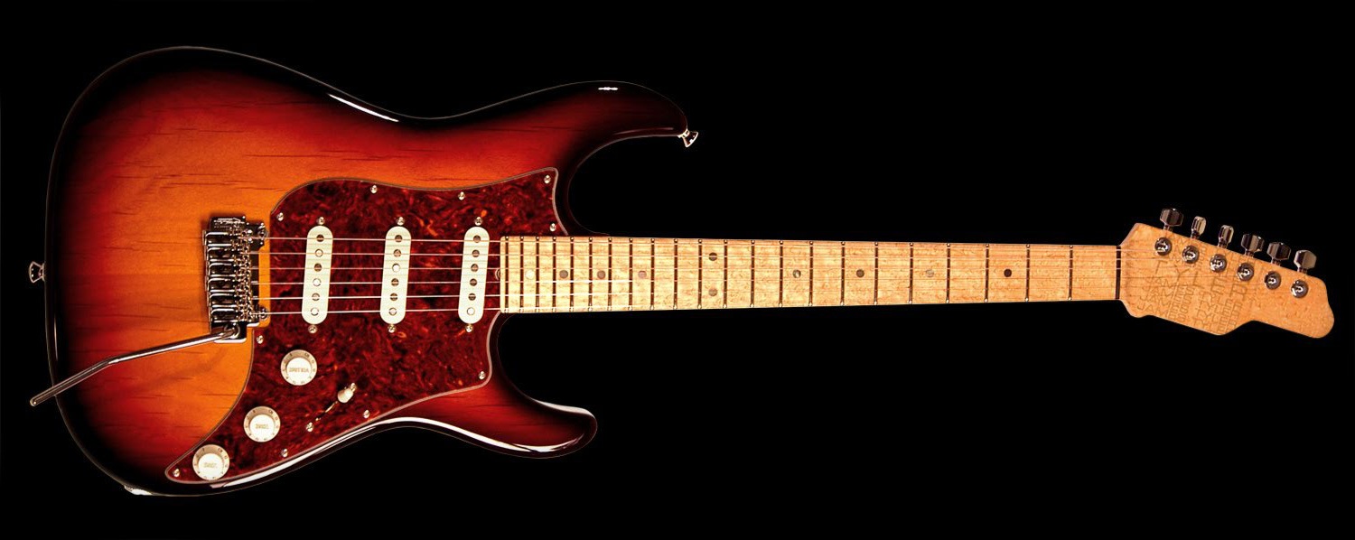 James Tyler Guitars - Studio Elite HD-P — James Tyler Guitars