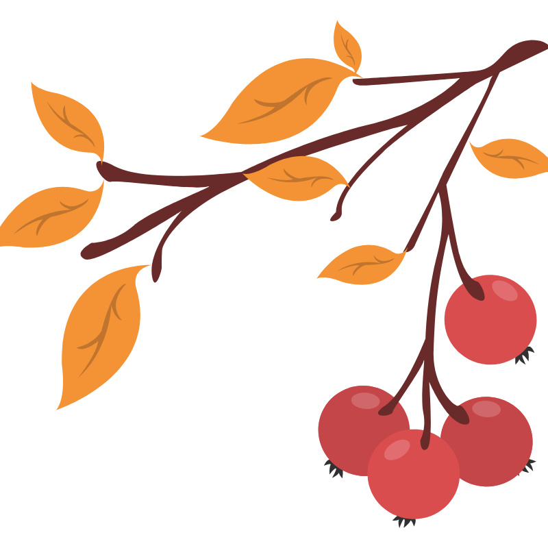 Fall Financial Check-in