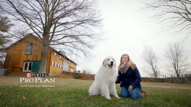 Purina - Angie & Brooks