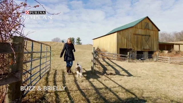 Purina Pro Plan  "Brielly & Buzz"