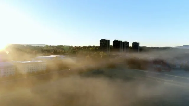 University of Massachusetts  'Featsocks'