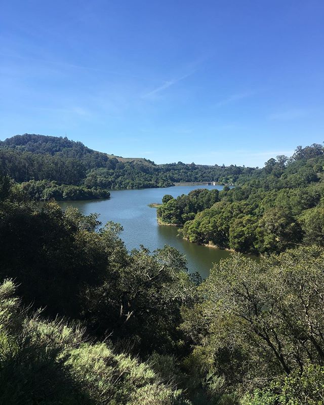 I wasn&rsquo;t expecting to run the full 9 mile course of the lake - but at the some point- I was pulled into the intrigue of the narrow woodsy path. Why not? I remembered to choose the right side path so I wouldn&rsquo;t end up in Oakland.

While on