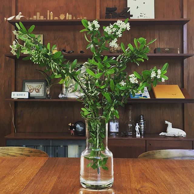 I worked from home yesterday and got a ton done! 
Just got this amazing vase from @narrativeoak &mdash; and this twig action is courtesy of J.Graham. I have to remember to clear the foliage below the waterline next time...