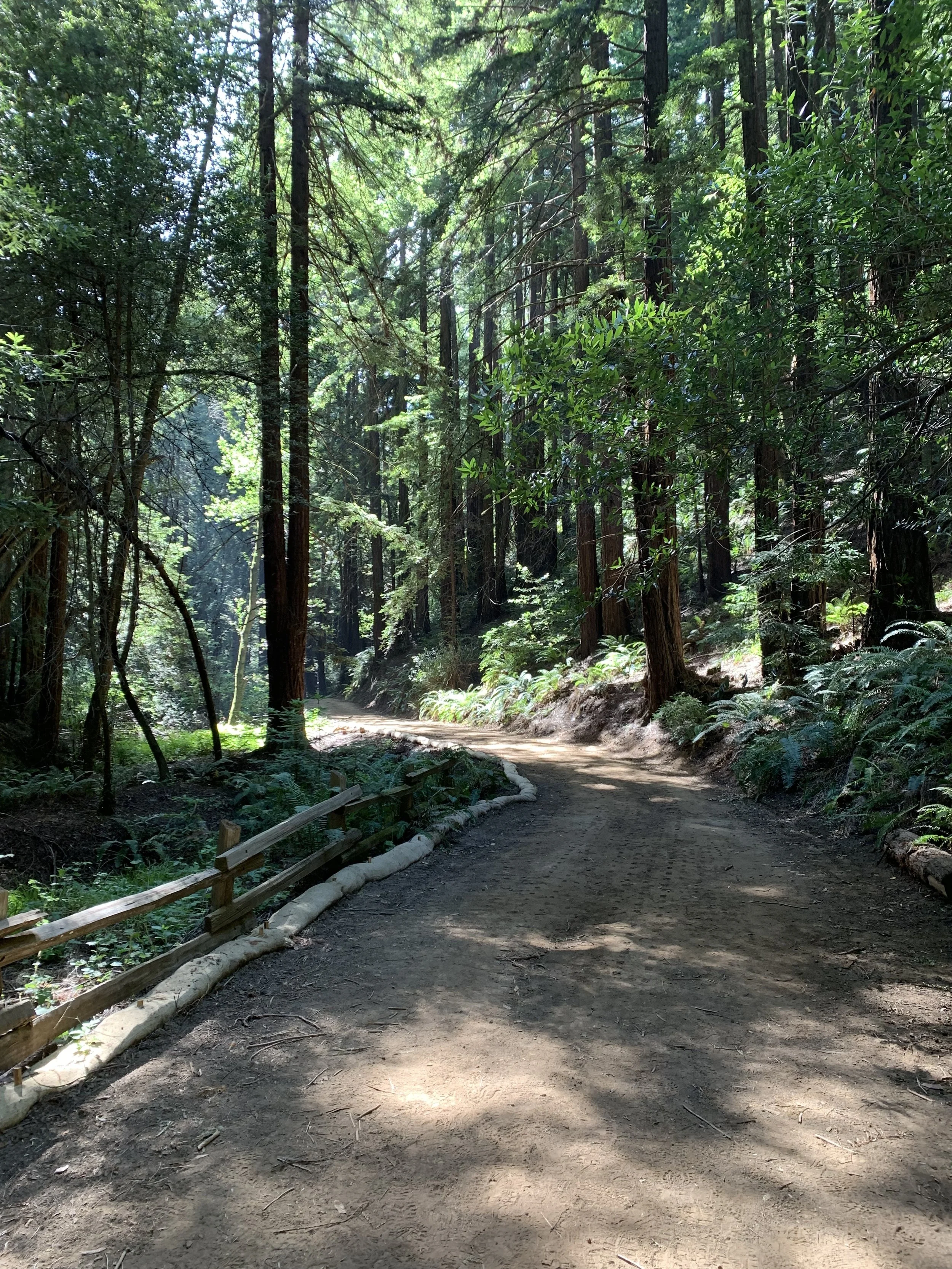 Mel's Favorite Things: Redwood Regional Park