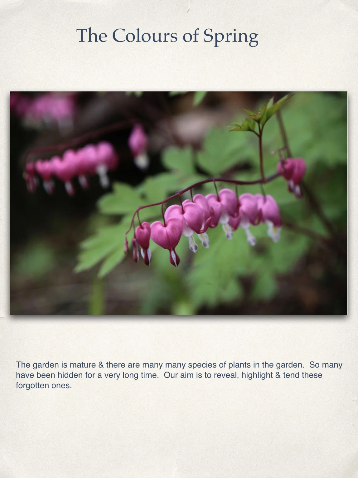 20 - The Colours Of Spring.jpg
