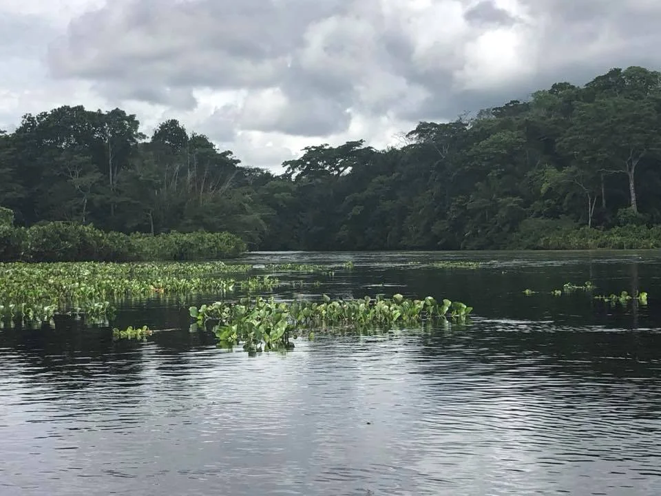 Panama 12.jpg