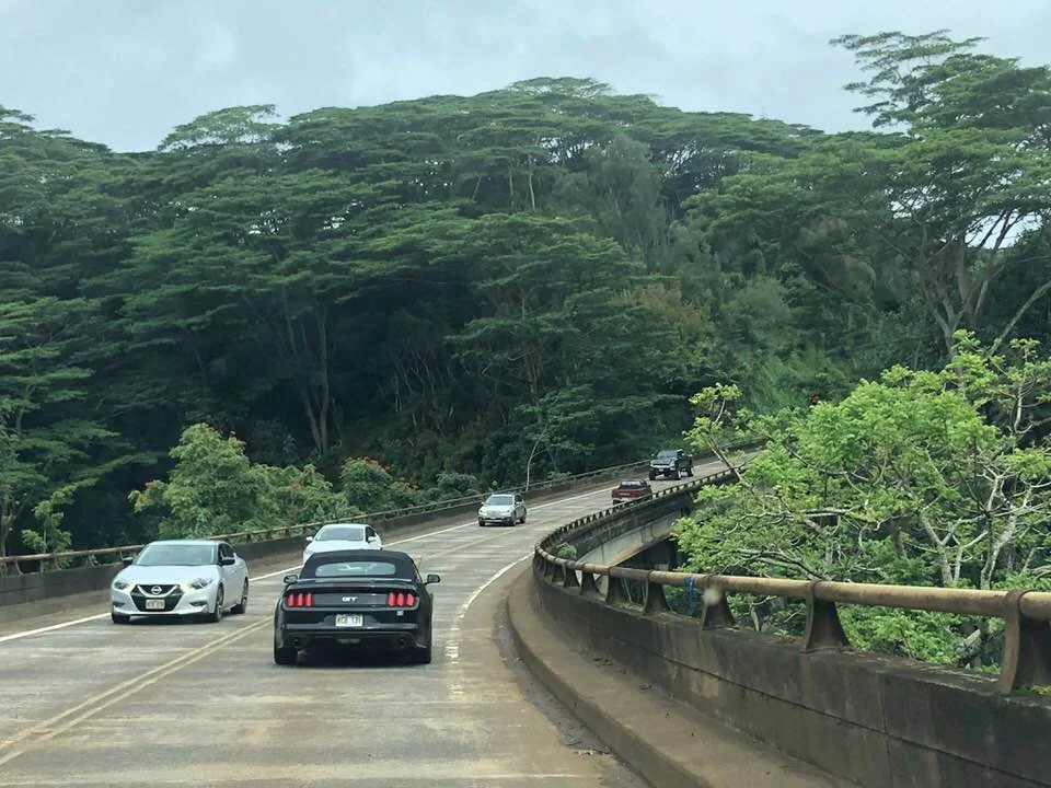 lihue 4.jpg