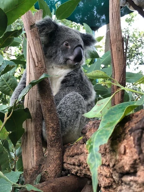 australia 9.jpg