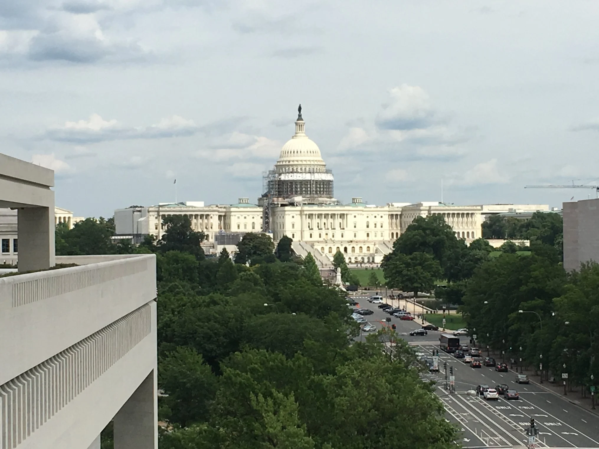 DC q.jpg