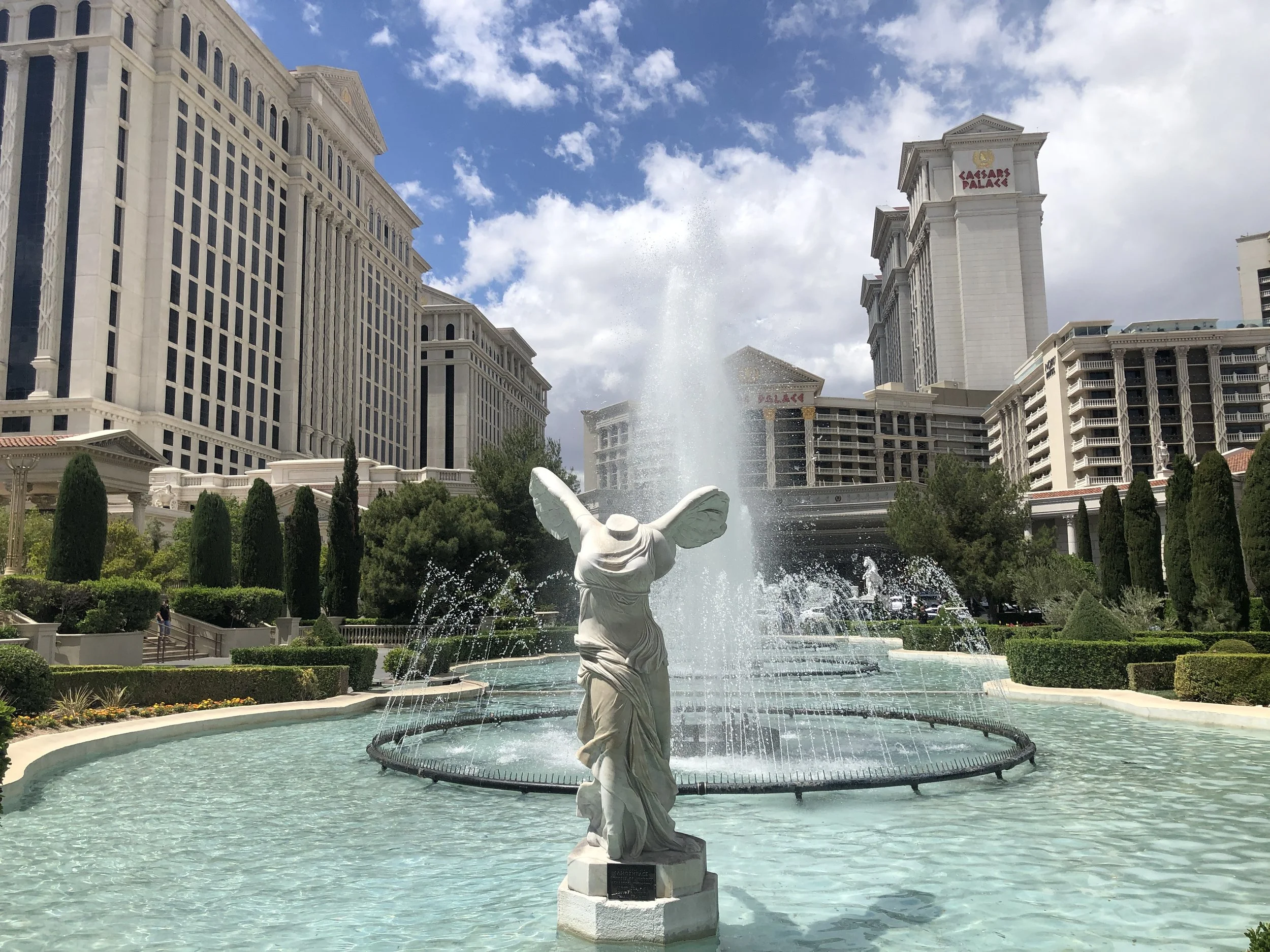 An Escaping Angel in the Zombie Apocalypse