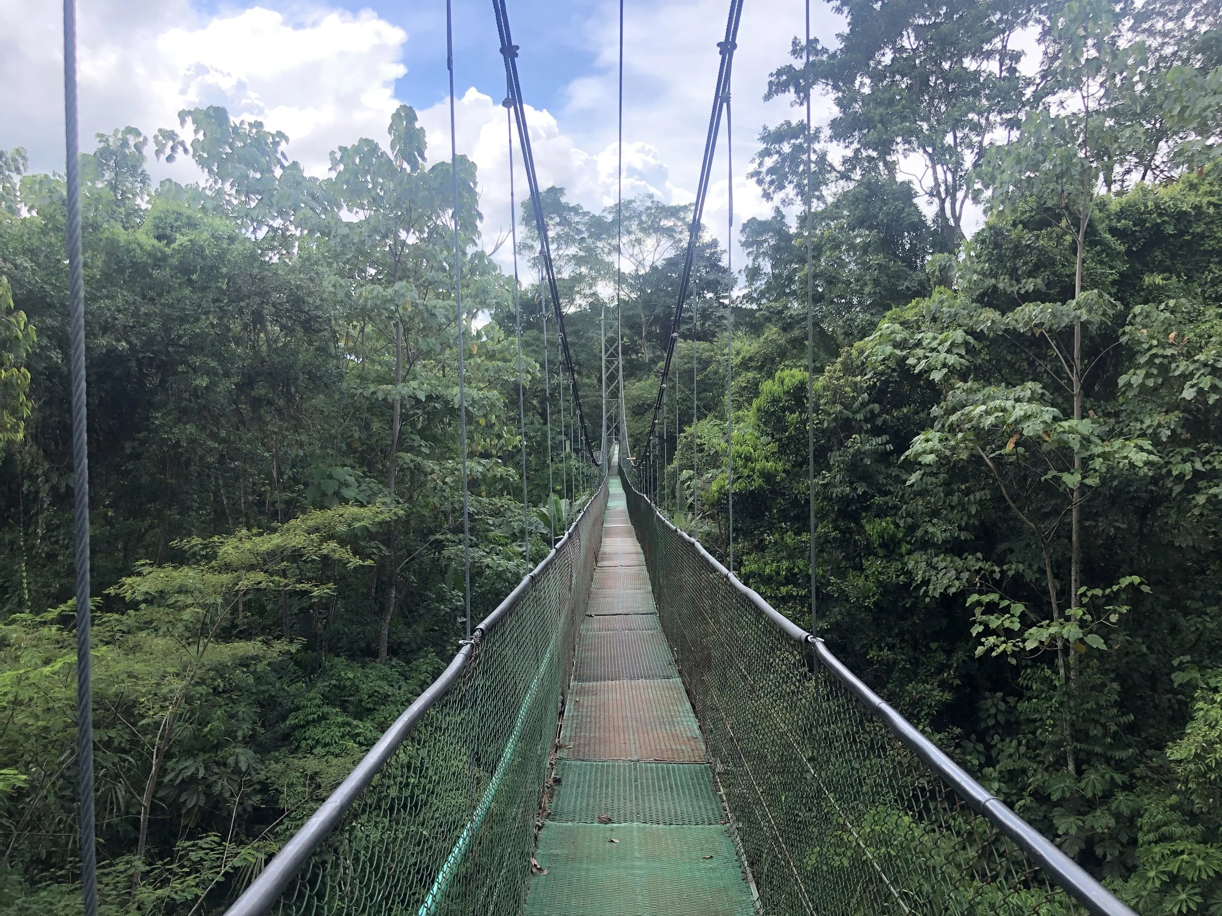 Crossing Borders into Mexico and Costa Rica