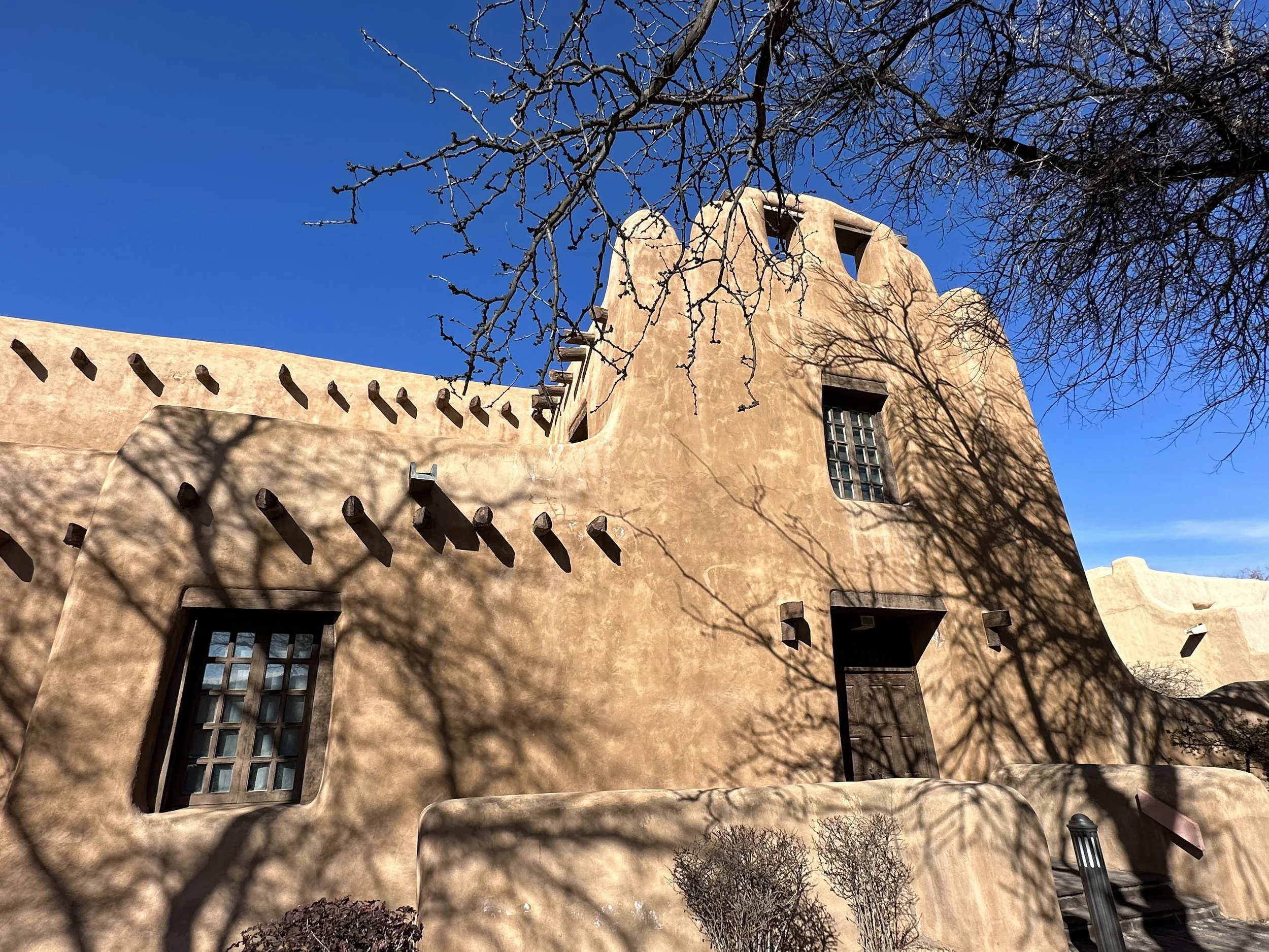 Did You Know that Green Chilies Are High in Fiber? We do now!