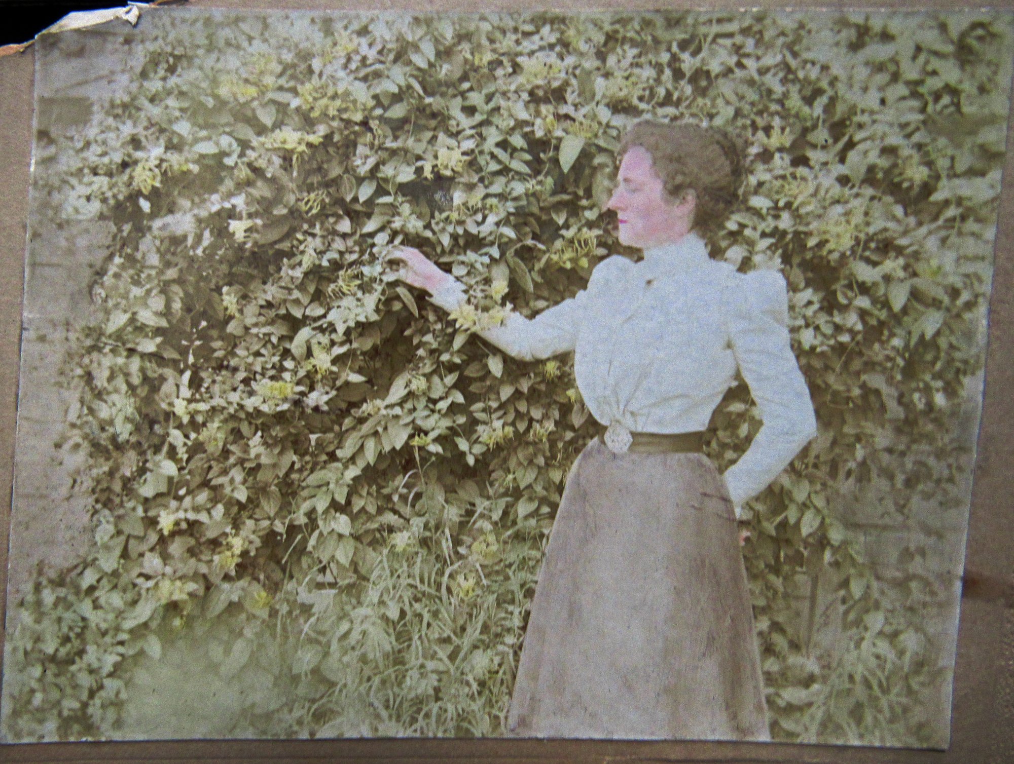 WD-54 Portrait of woman with greenery.jpg