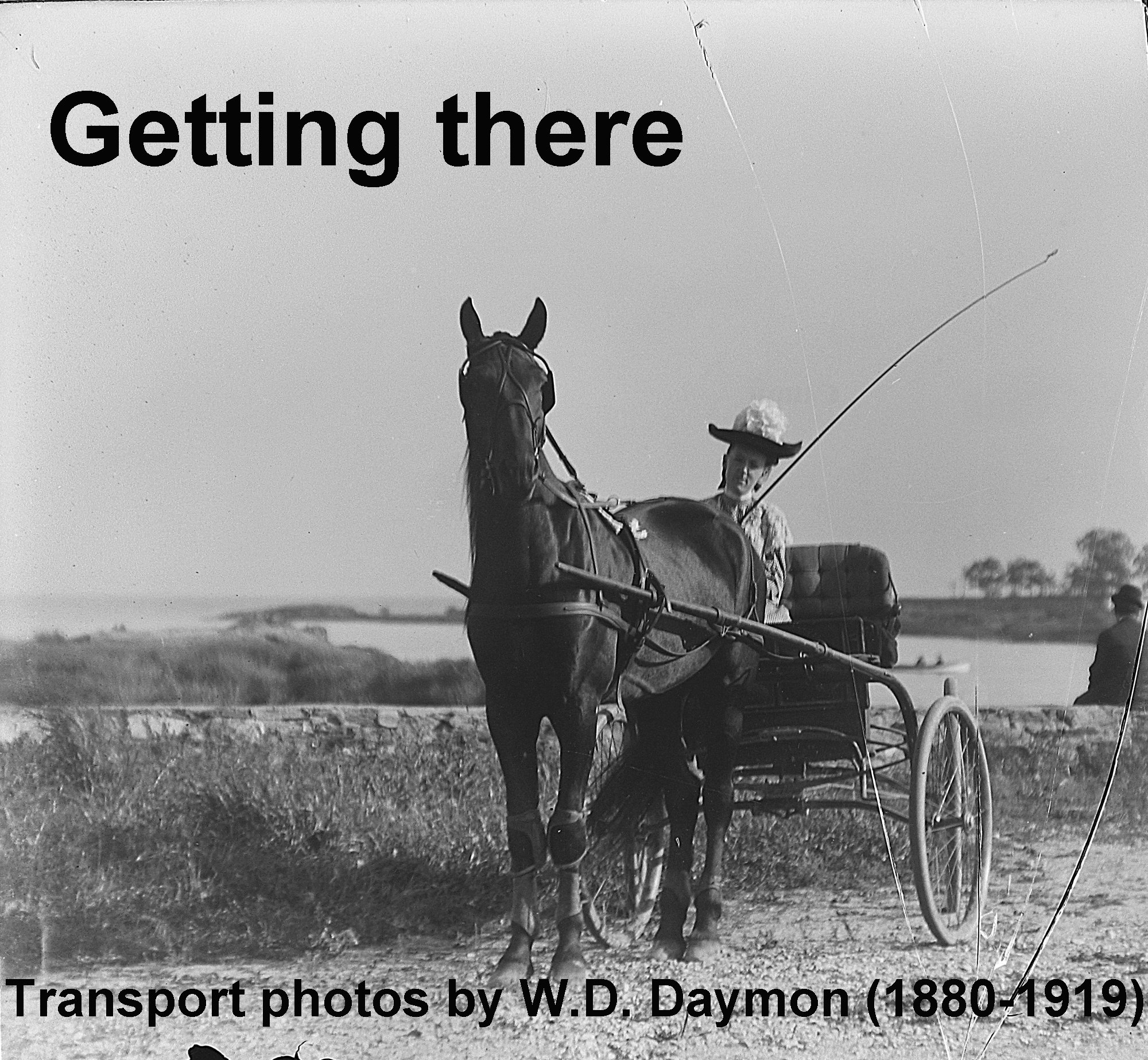 GN-099 Transport title photo Woman driving horse and carriage.jpg