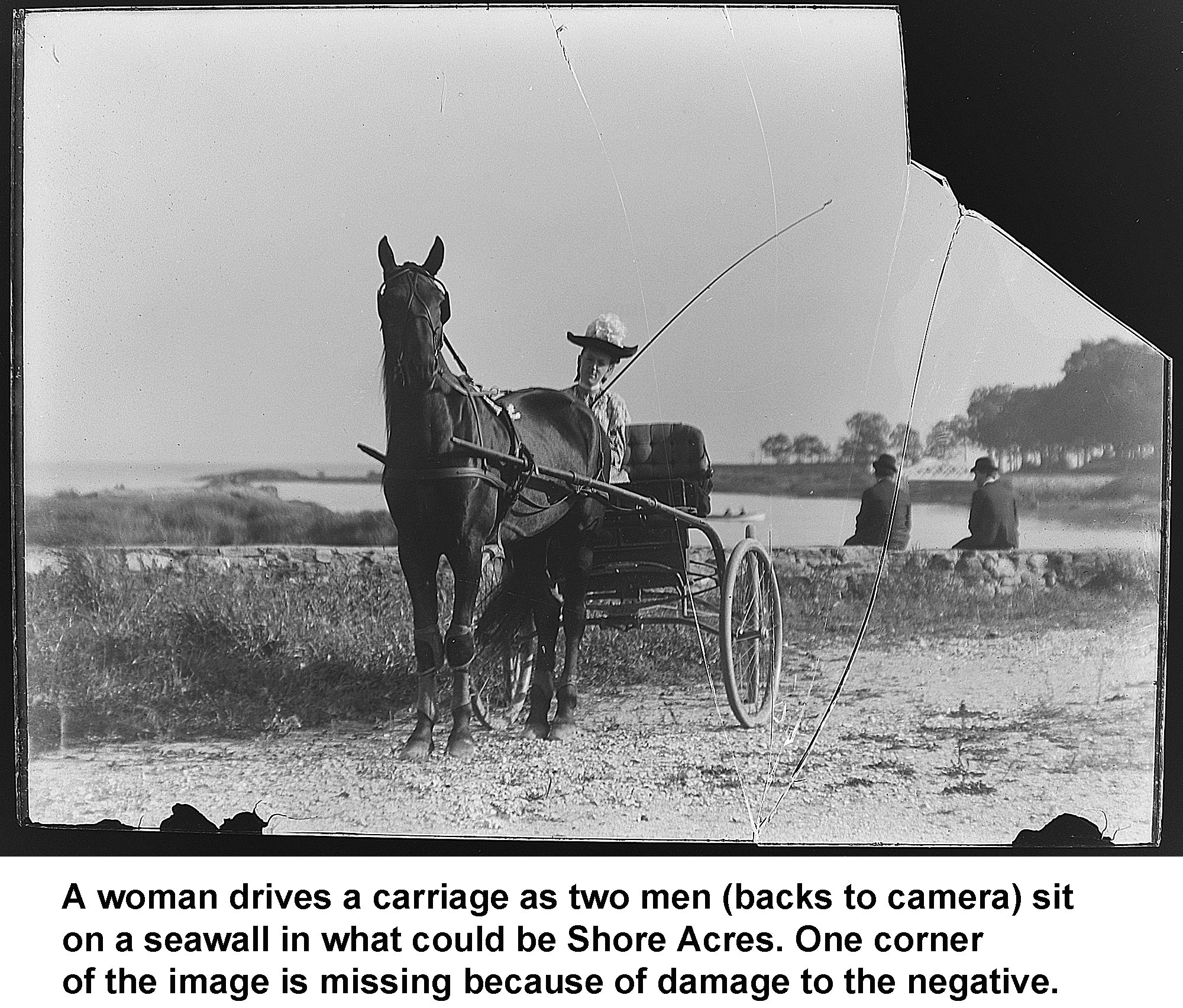 GN-099 Woman driving horse and carriage.jpg