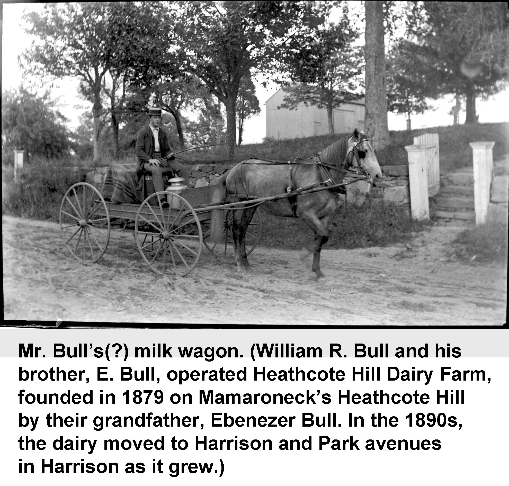 Mr. Bull’s(?) milk wagon - vintage photograph