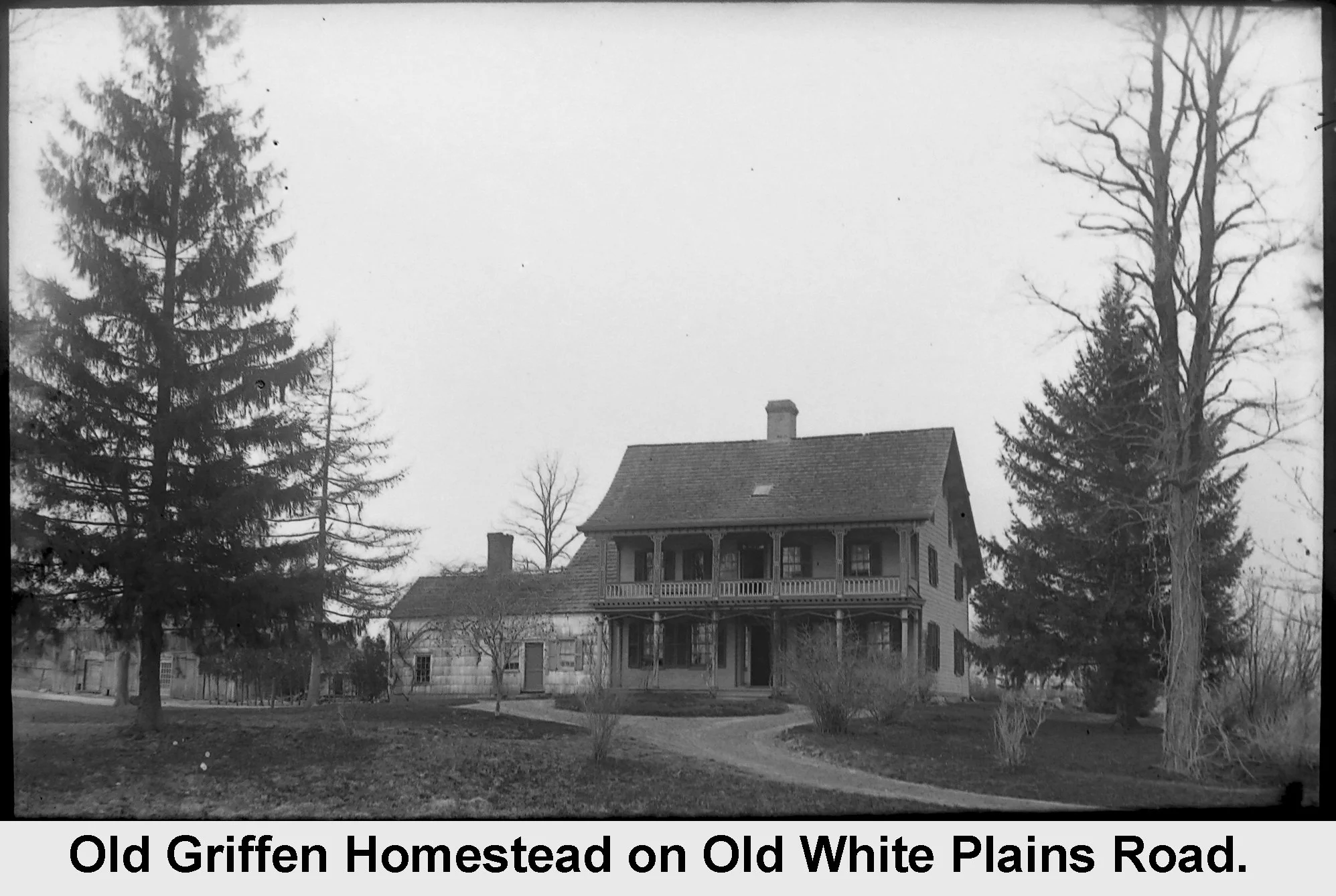 Old Griffen Homestead on Old White Plains Road - vintage photograph