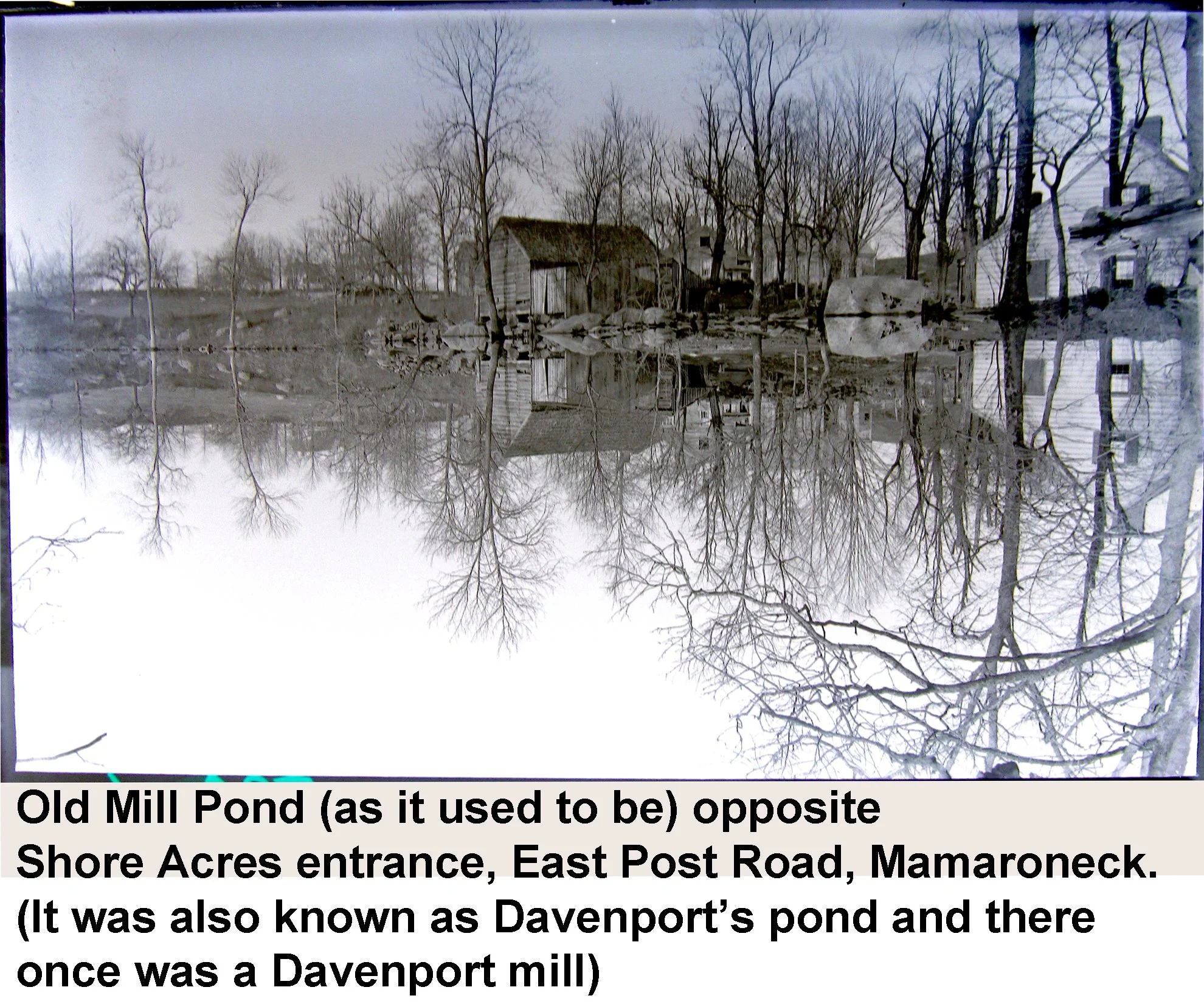 Old Mill Pond (as it used to be) opposite Shore Acres entrance - vintage photograph