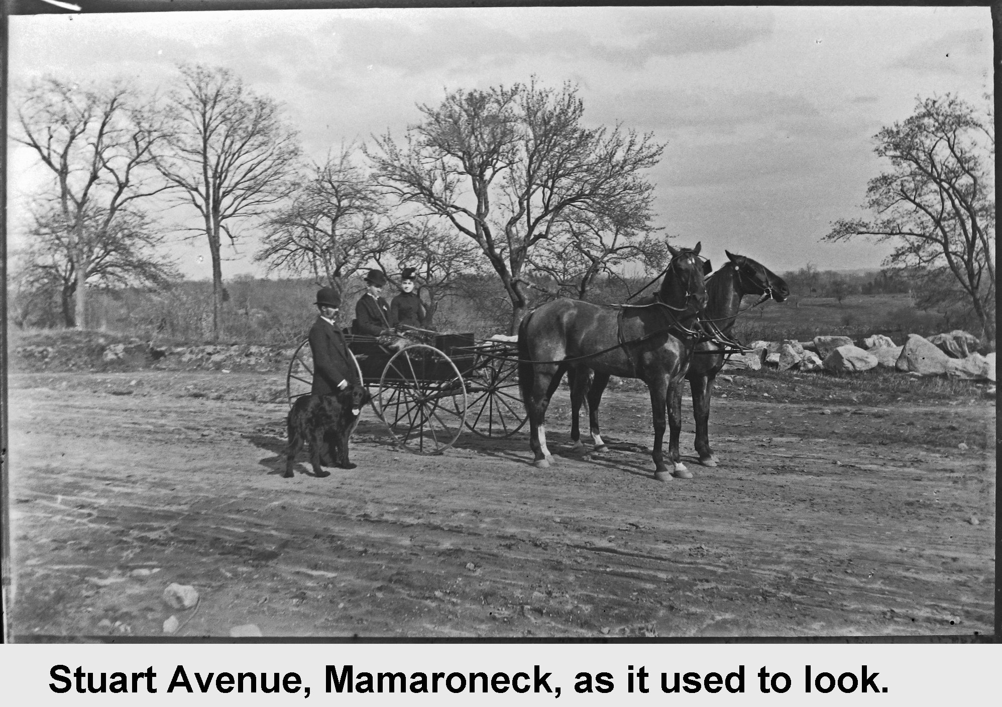 Stuart Avenue, Mamaroneck, as it used to look - vintage photograph