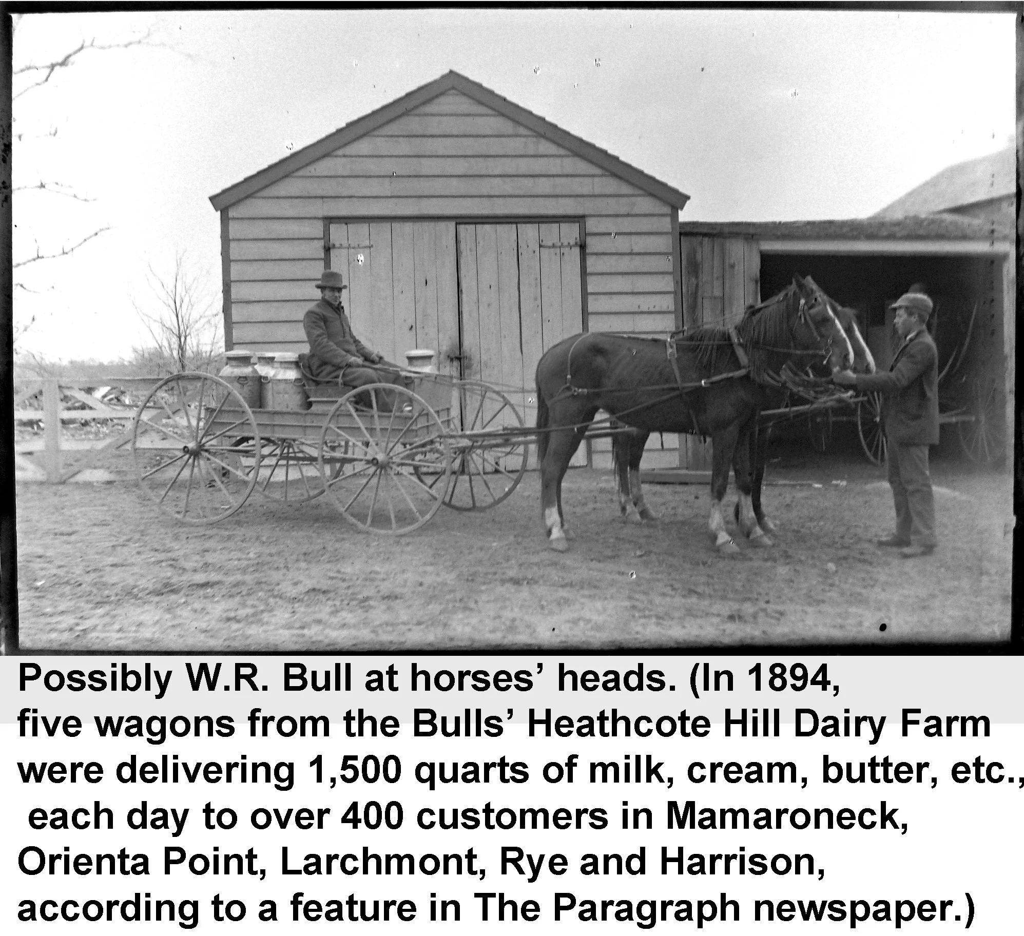Possibly W.R. Bull at horses’ heads - vintage photograph