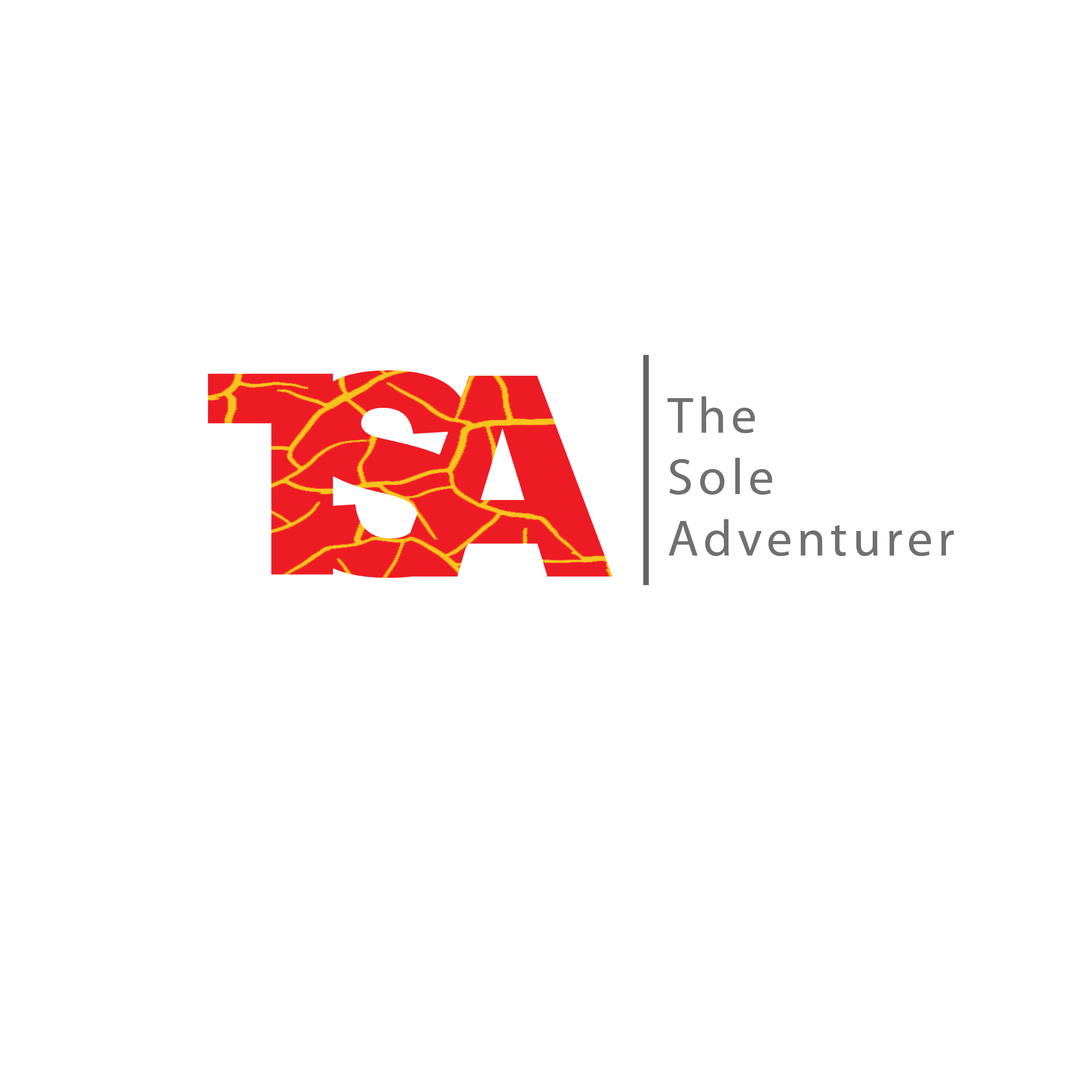 TSA Logo.PNG