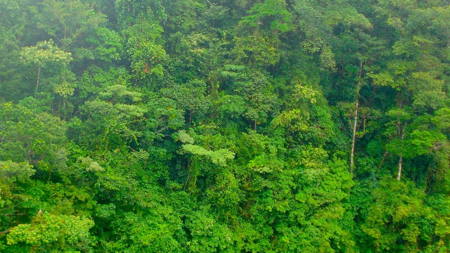 ¿Qué fue de Rancho Quemado?