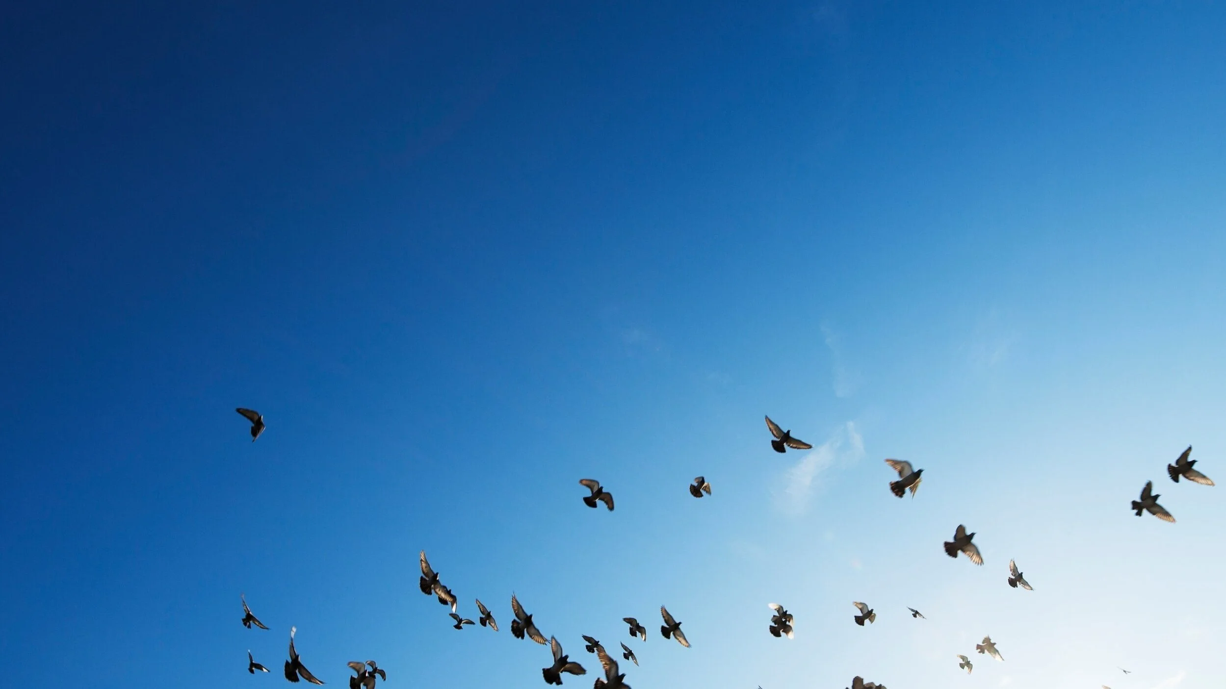 Carta abierta a la junta directiva del Colegio de Periodistas y Profesionales en Comunicación