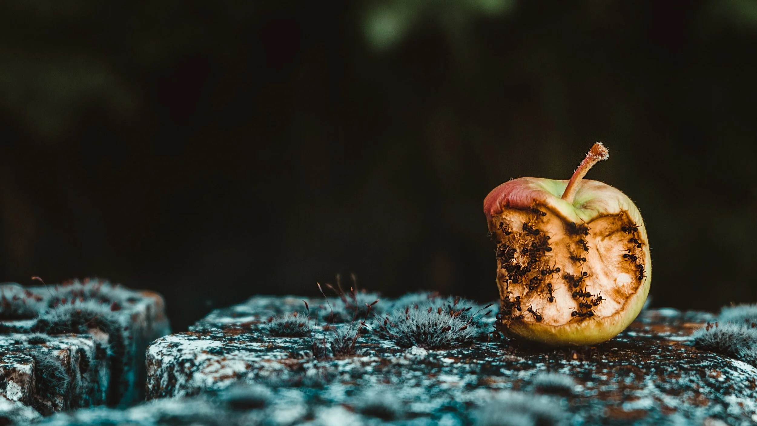 Más sobre los odios