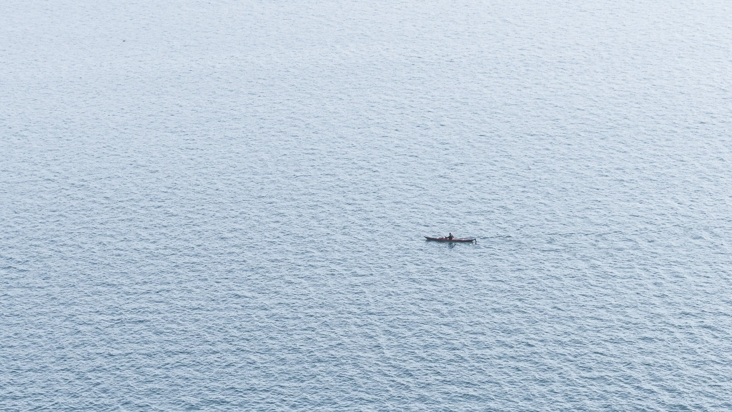 La soledad de Carlos Alvarado
