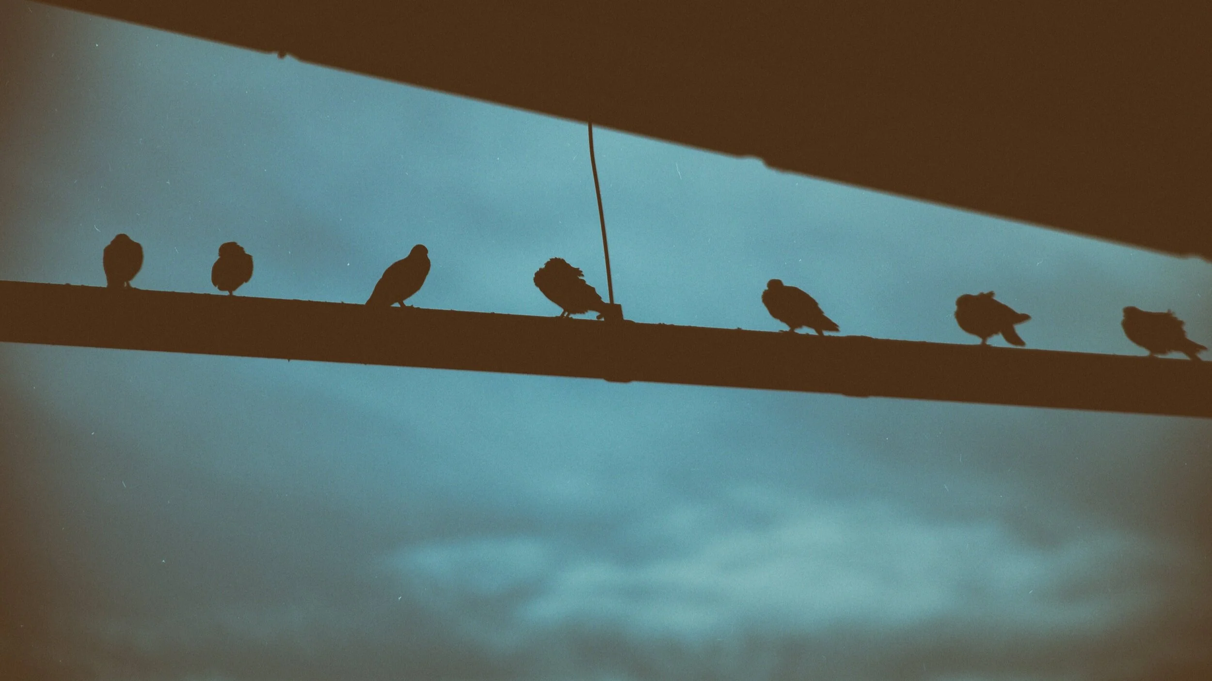 Después del Covid-19