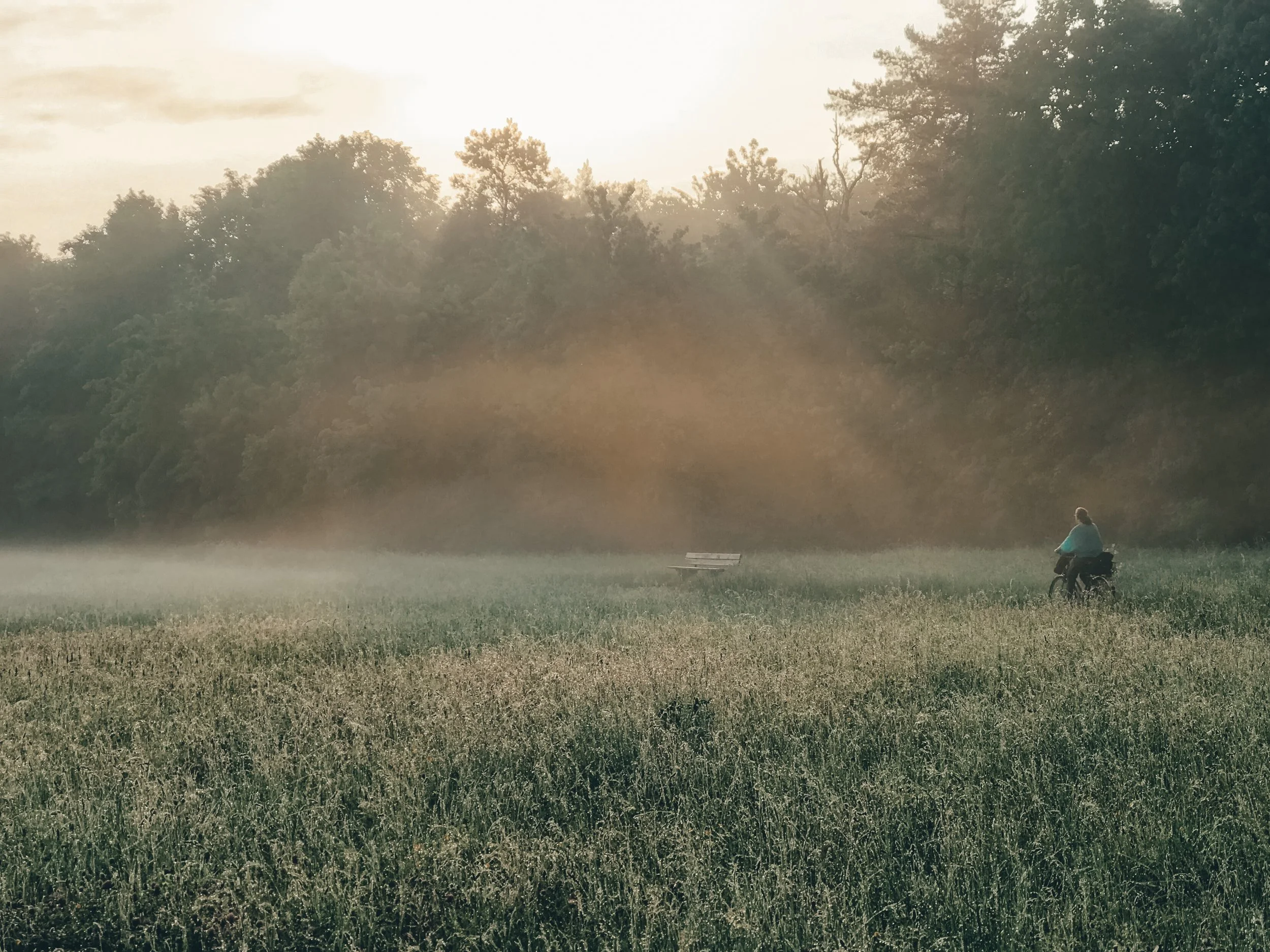 ¿Tristes por diseño?