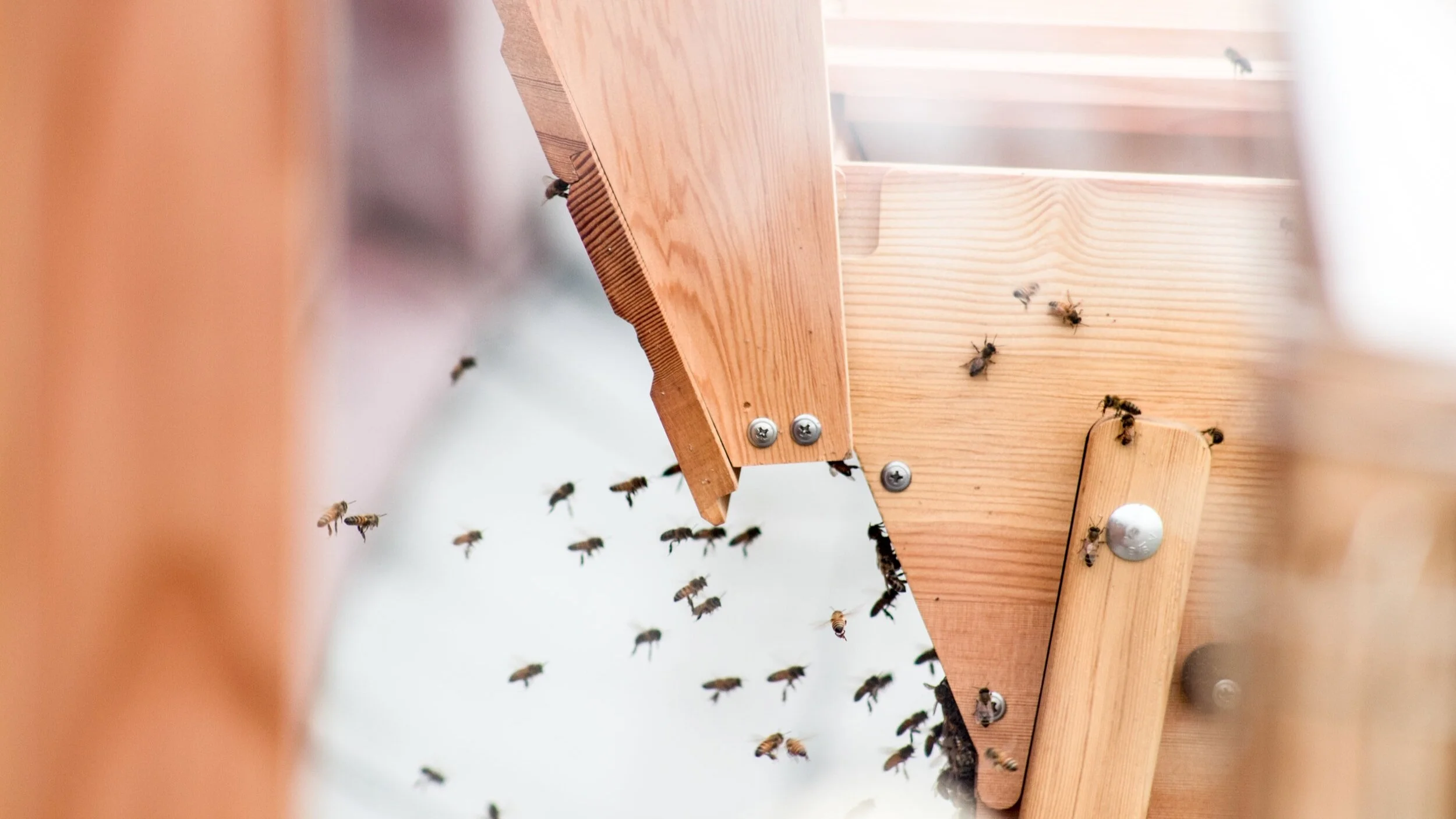 Efectos de la flexibilización laboral sobre la desigualdad estructural en tiempos de crisis.