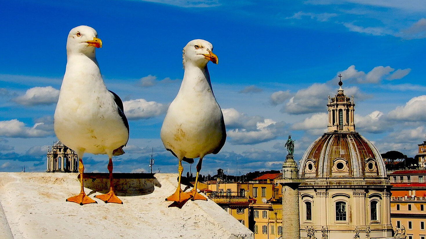 Italia en fase tres