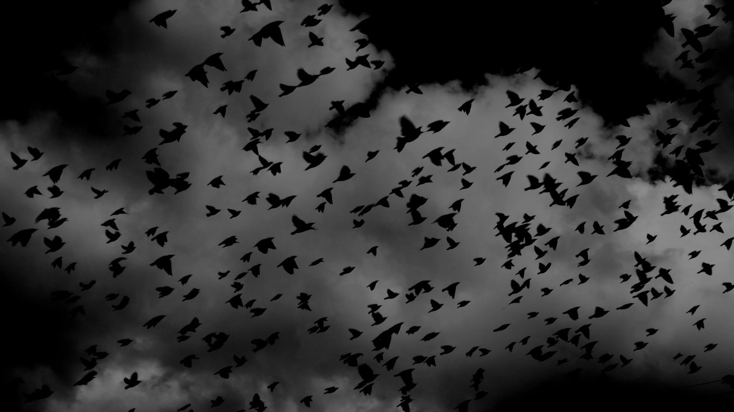 La trinidad teratológica y su relato de terror