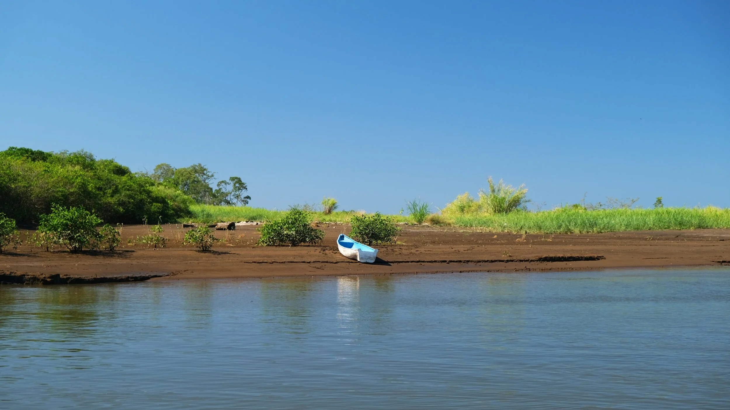 El tandero, el jumas trashumante