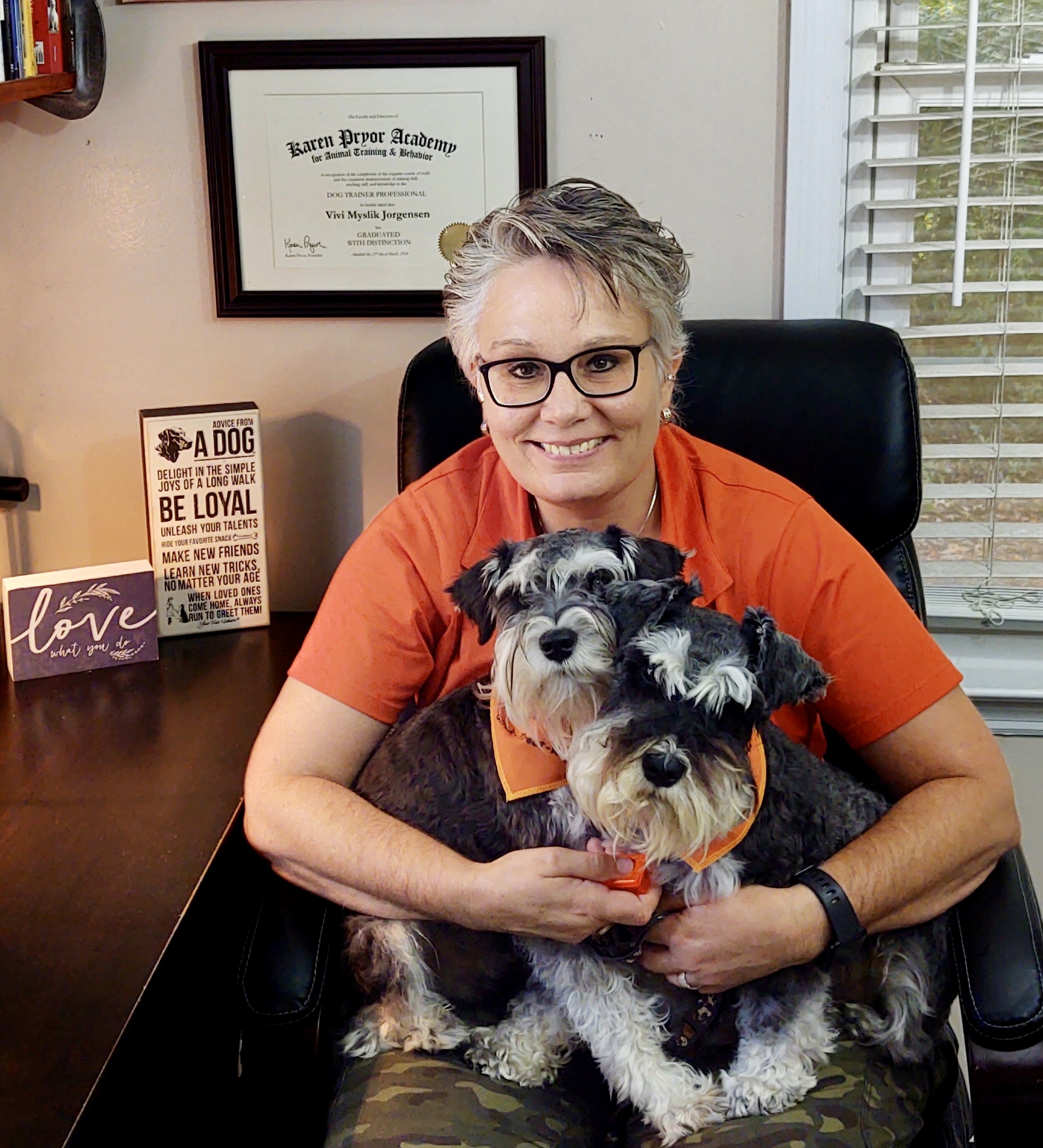trish's mini schnauzers