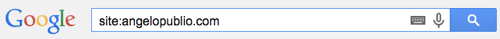 Pesquisa Google - Filtro - site:angelopublio.com
