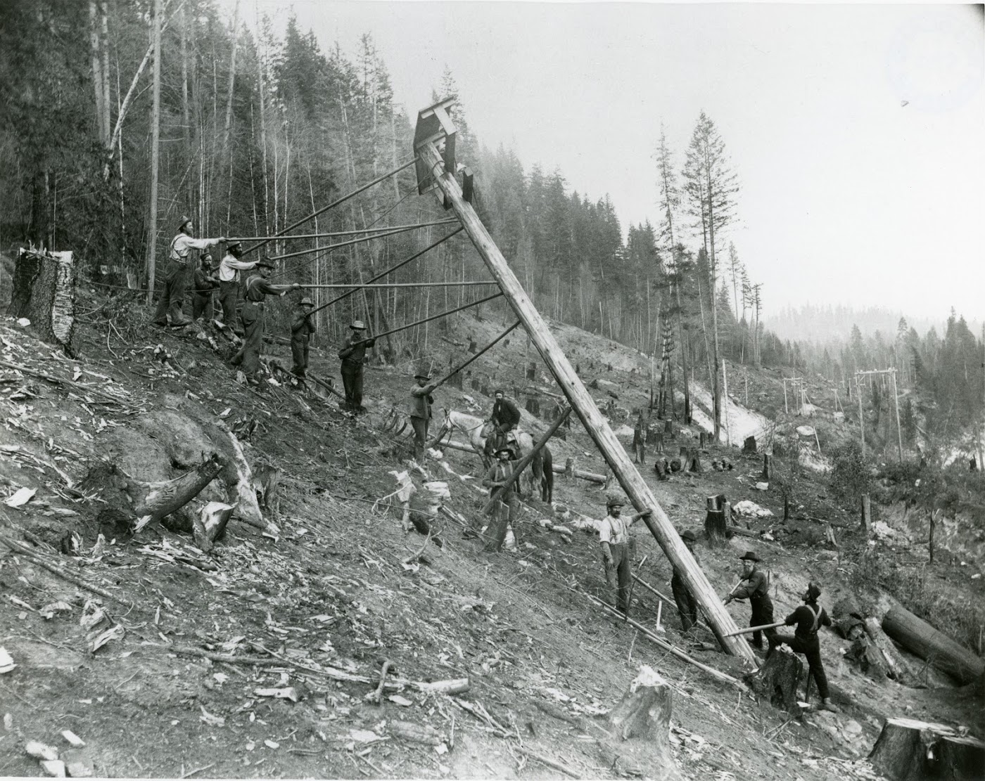 Photo 2318.0047: West Kootenay Power crew raising a power pole for the Bonnington - Rossland line. The crew had to manually cut 50 holes for the poles every 1 km - that’s 2,575 holes in total!