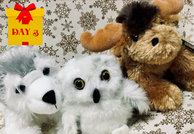 Stuffed Animals - Great stocking stuffers!