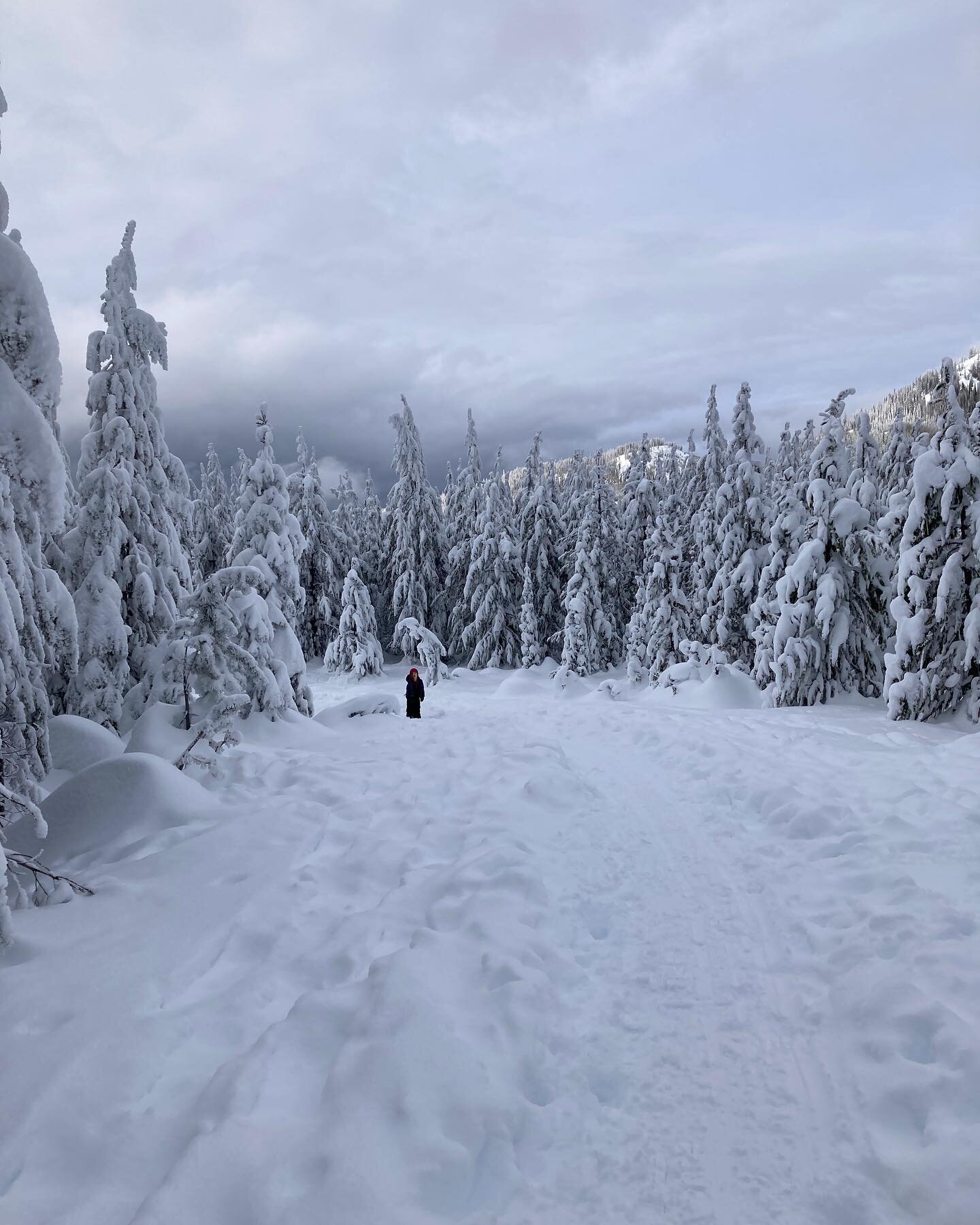 The snowshoein&rsquo; is fine!

#rosslandbc #explorebc #globalbc #explorerossland #kootrocks #westkootenays #getoutside