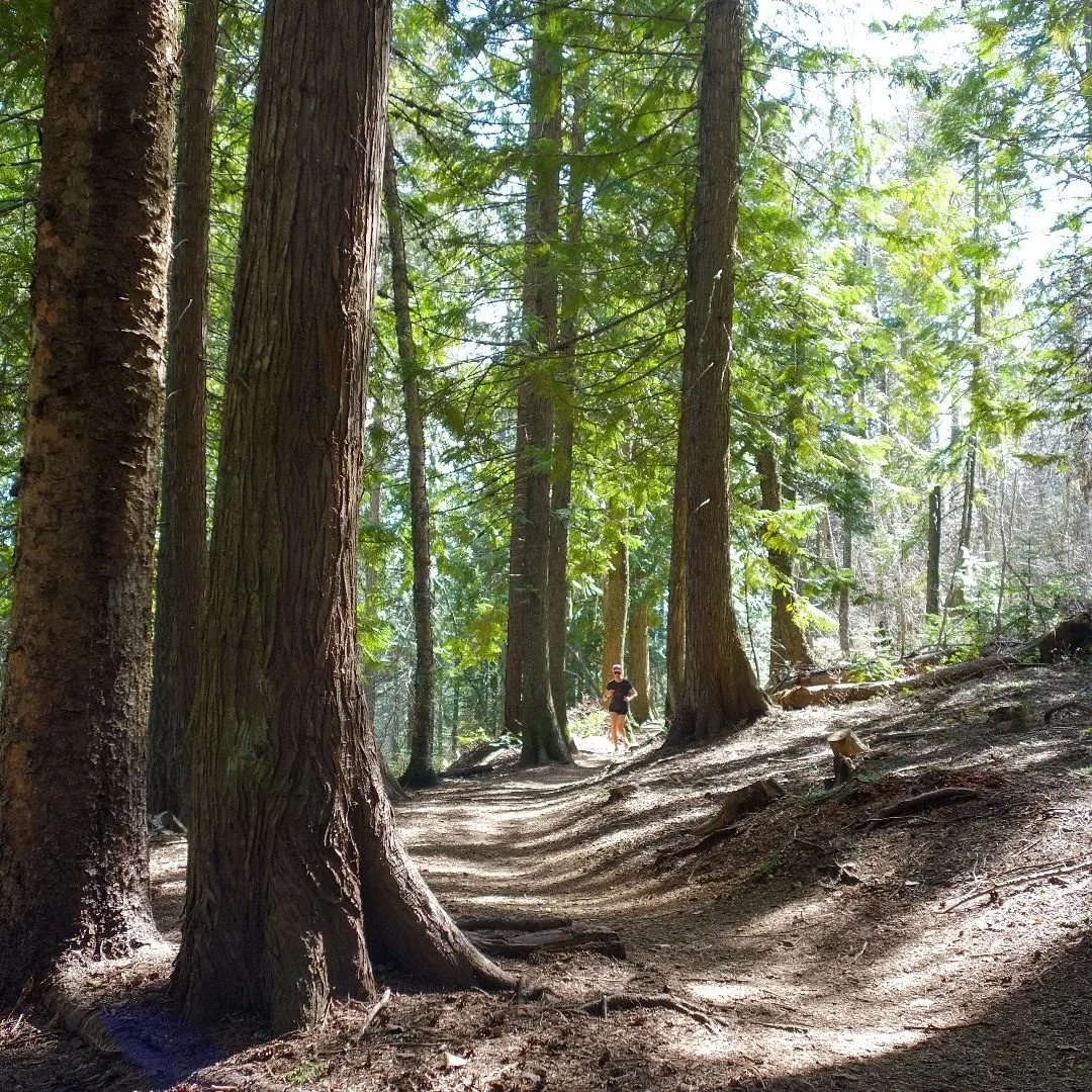 Join us in celebrating #TourismWeekCanada2024, April 15-19, 2024! Let's champion and promote BC's unparalleled destinations, tourism businesses,
and employees. 

#BCTourismCounts
