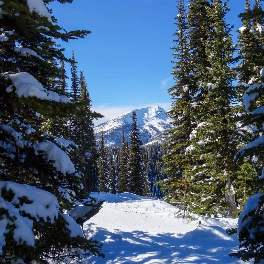 Closing weekend at @redresort! Soak up views like this gorgeous glimpse of Old Glory (seen from Grey Mt) or make the most of the end-of-season events: the Slush Cup, from 2-4pm Saturday the 6th, and everyone's favourite Retro Day Deck Party, all day 
