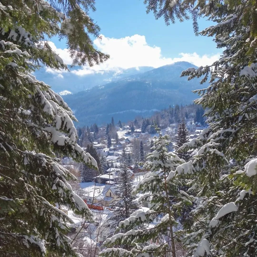 Views 👌
.
.
.
#RosslandBC #ExploreRossland #GetOutside